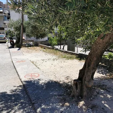 Adriatic Pavlinovic -