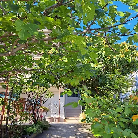 Adriatic Pavlinovic - Apartment Makarska