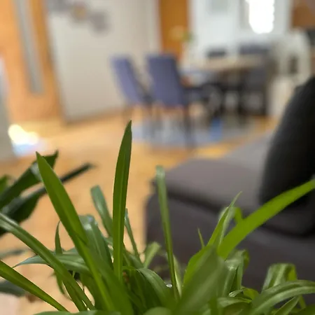 Apartment Adriatic Pavlinovic -