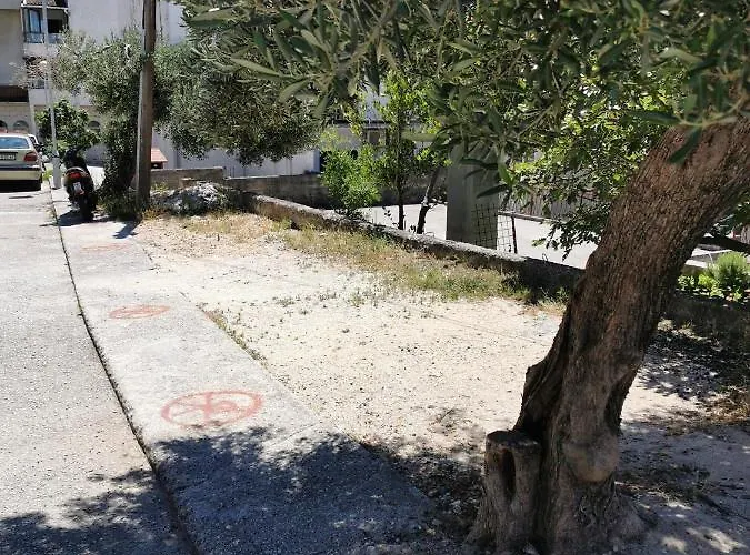 Adriatic Pavlinovic -