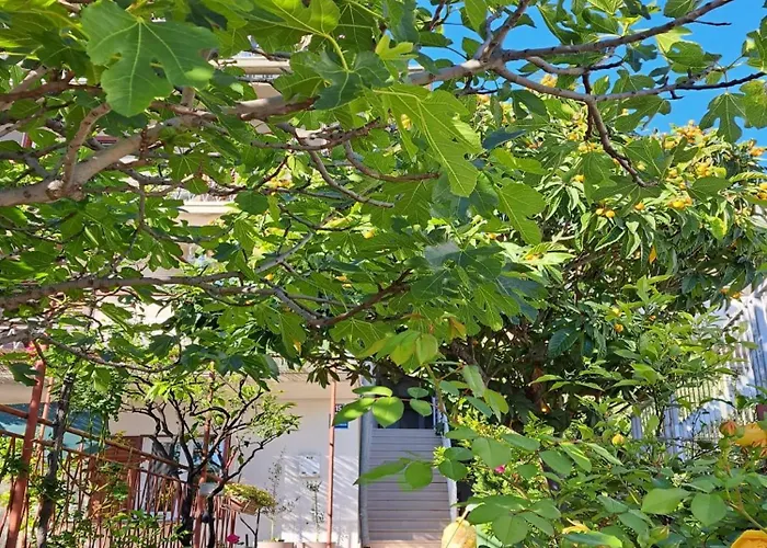 Adriatic Pavlinovic - Apartment Makarska