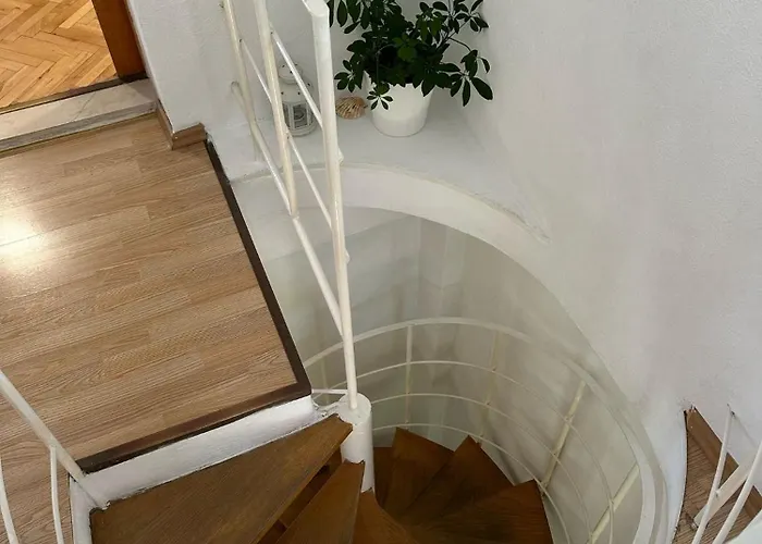 Adriatic Pavlinovic -