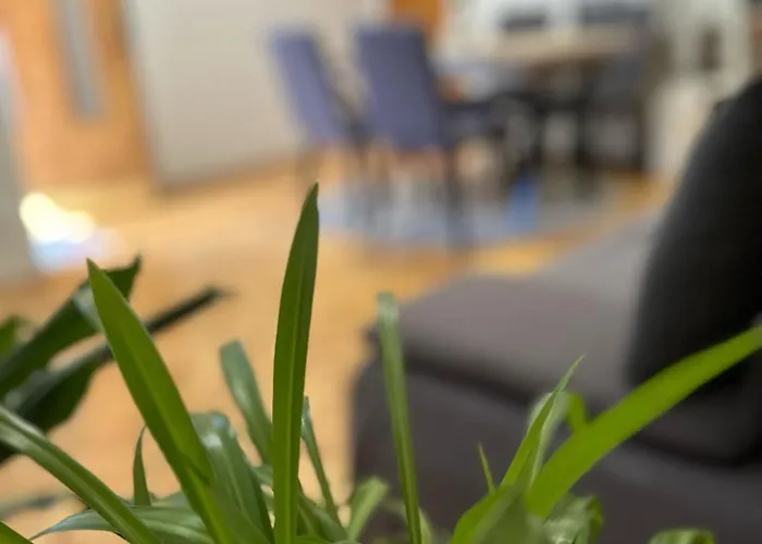 Apartment Adriatic Pavlinovic -