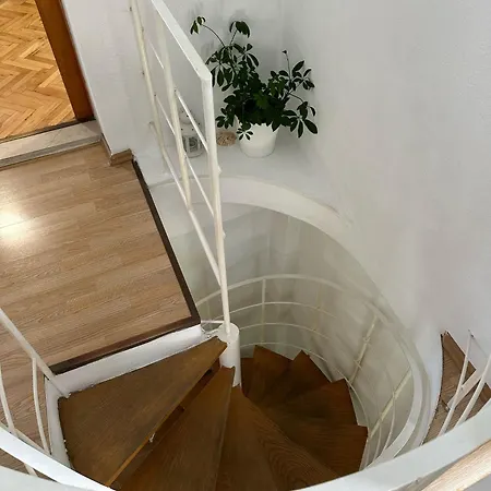 Adriatic Pavlinovic -